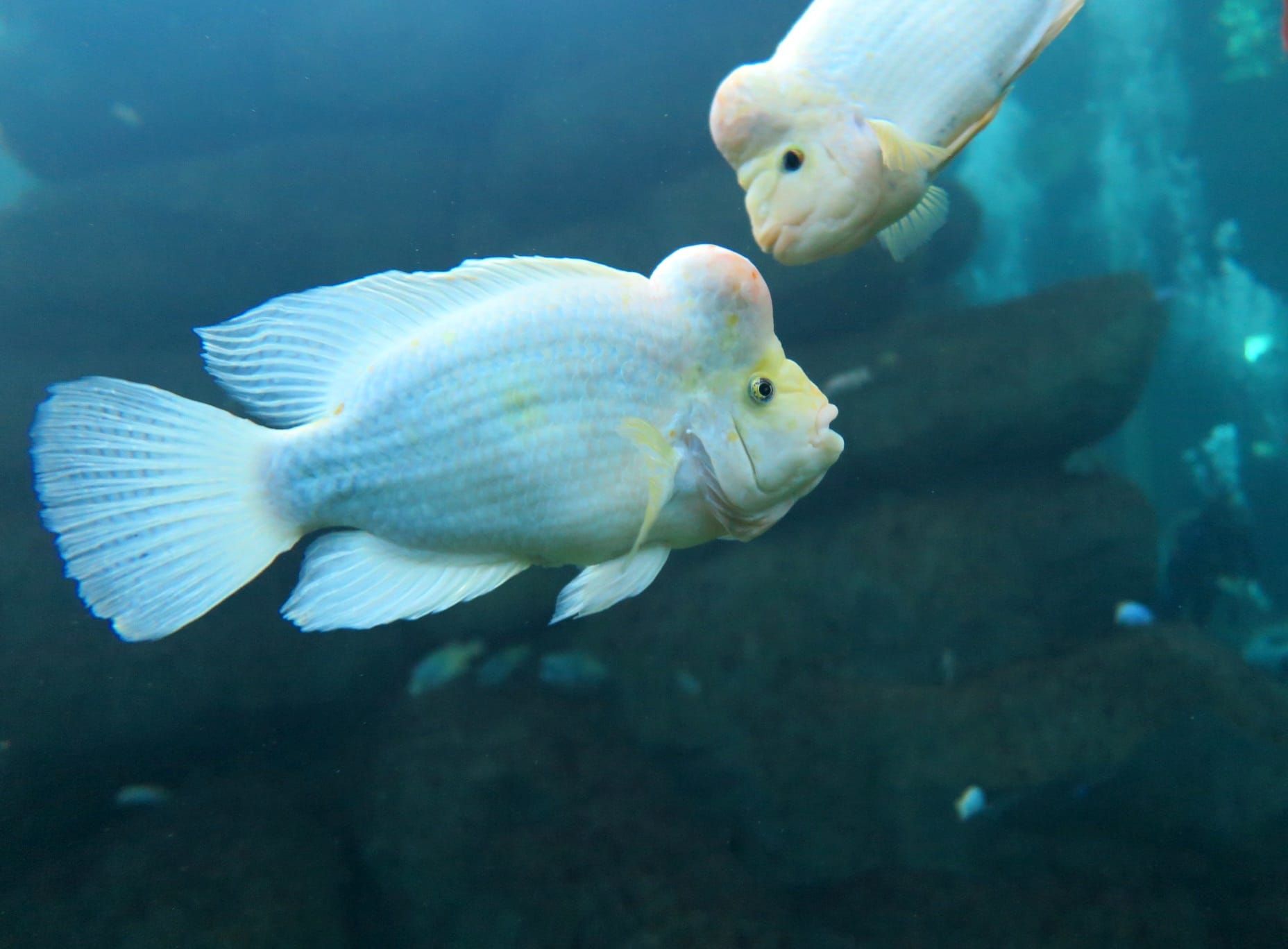 image015